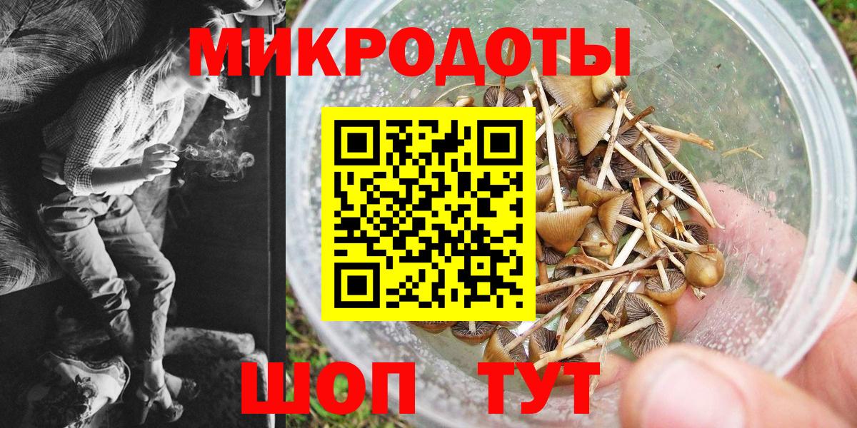 Псилоцибиновые грибы Psilocybe Стерлитамак